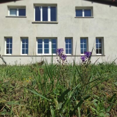 l'atelier des stages sculpture